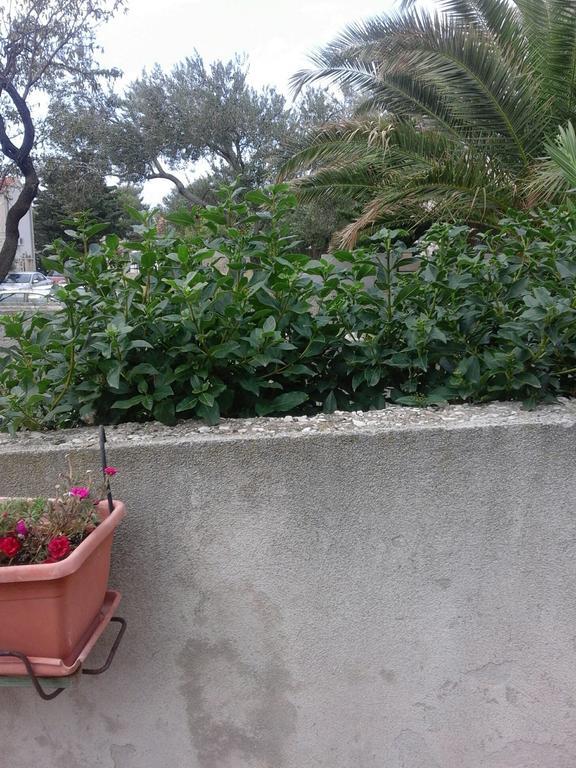 Apartments Jerica بول المظهر الخارجي الصورة