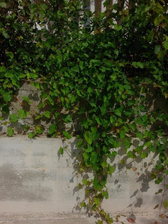 Apartments Jerica بول المظهر الخارجي الصورة